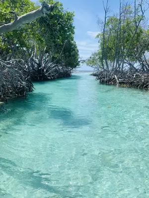 Cayo Caracoles Sandbar, Lajas