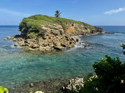 Cerro Gordo West Point, Vega Alta